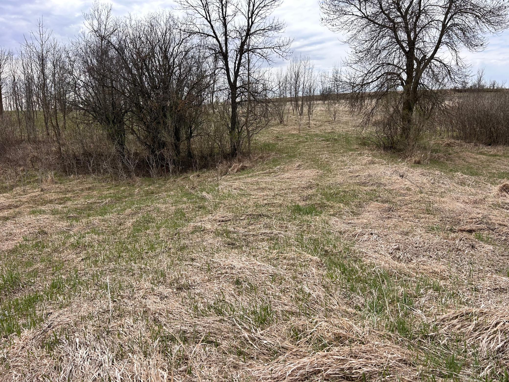 Lot 20 215th Street Property Photo 1