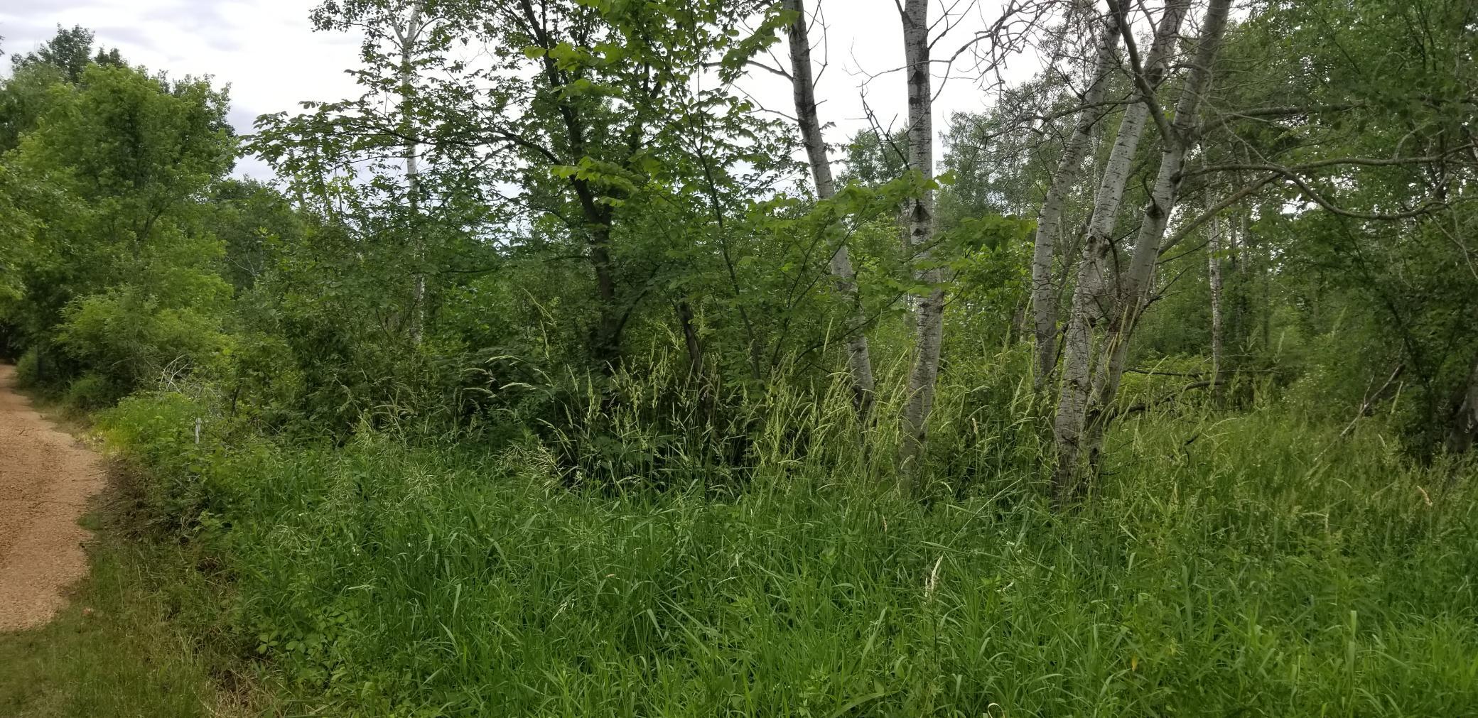 16835 Highway 65 Ne Property Photo 3
