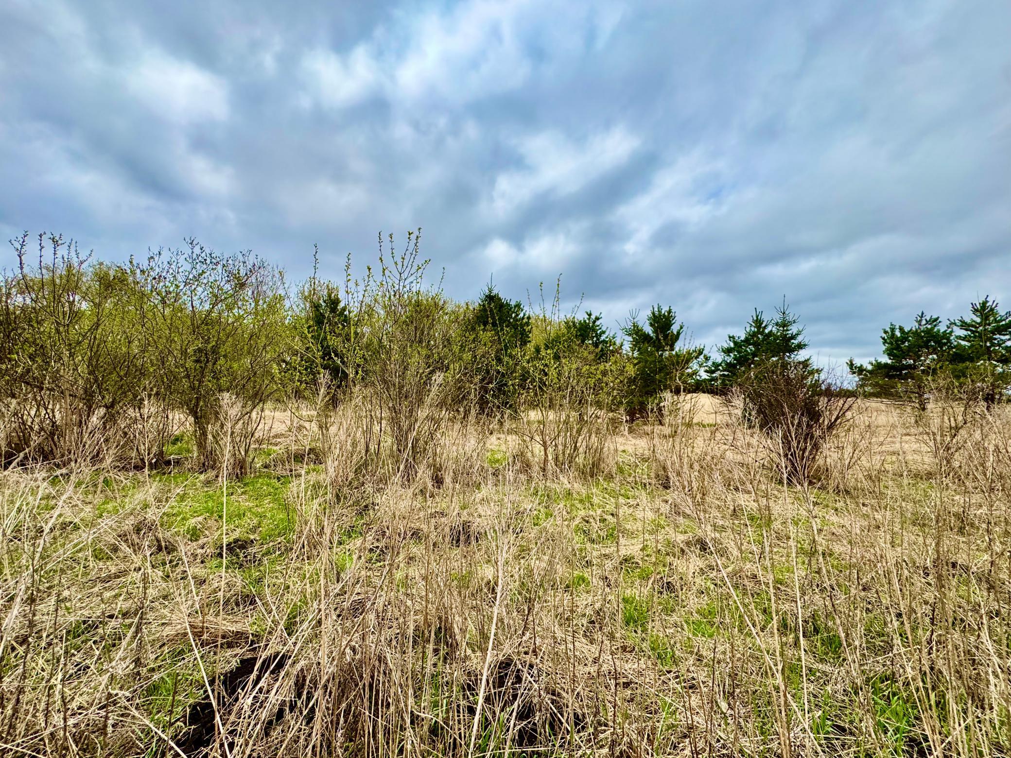 10833 Grand Lake Road Property Photo 5