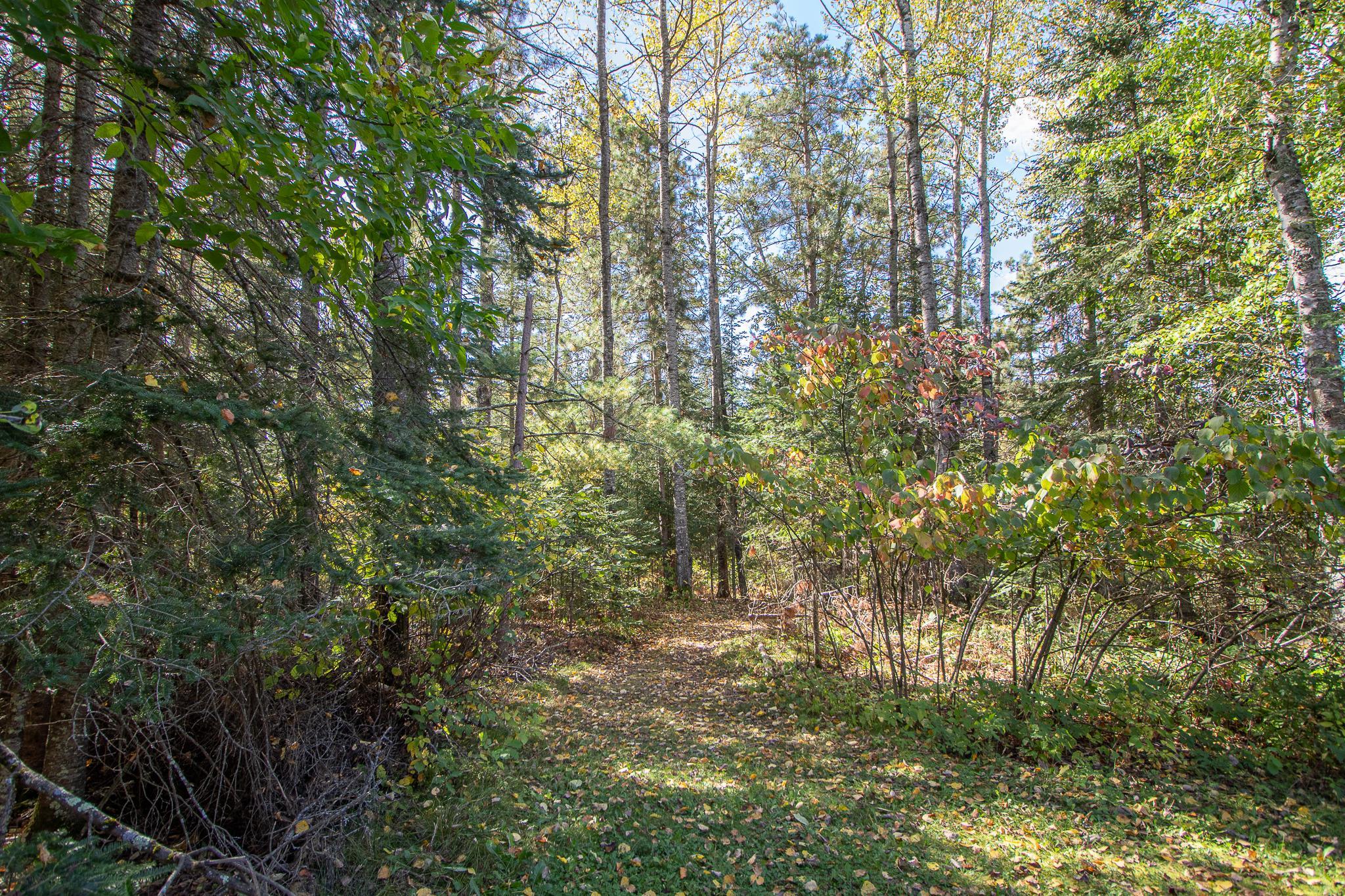1003 Sunset Hill Road Ne Property Photo 55