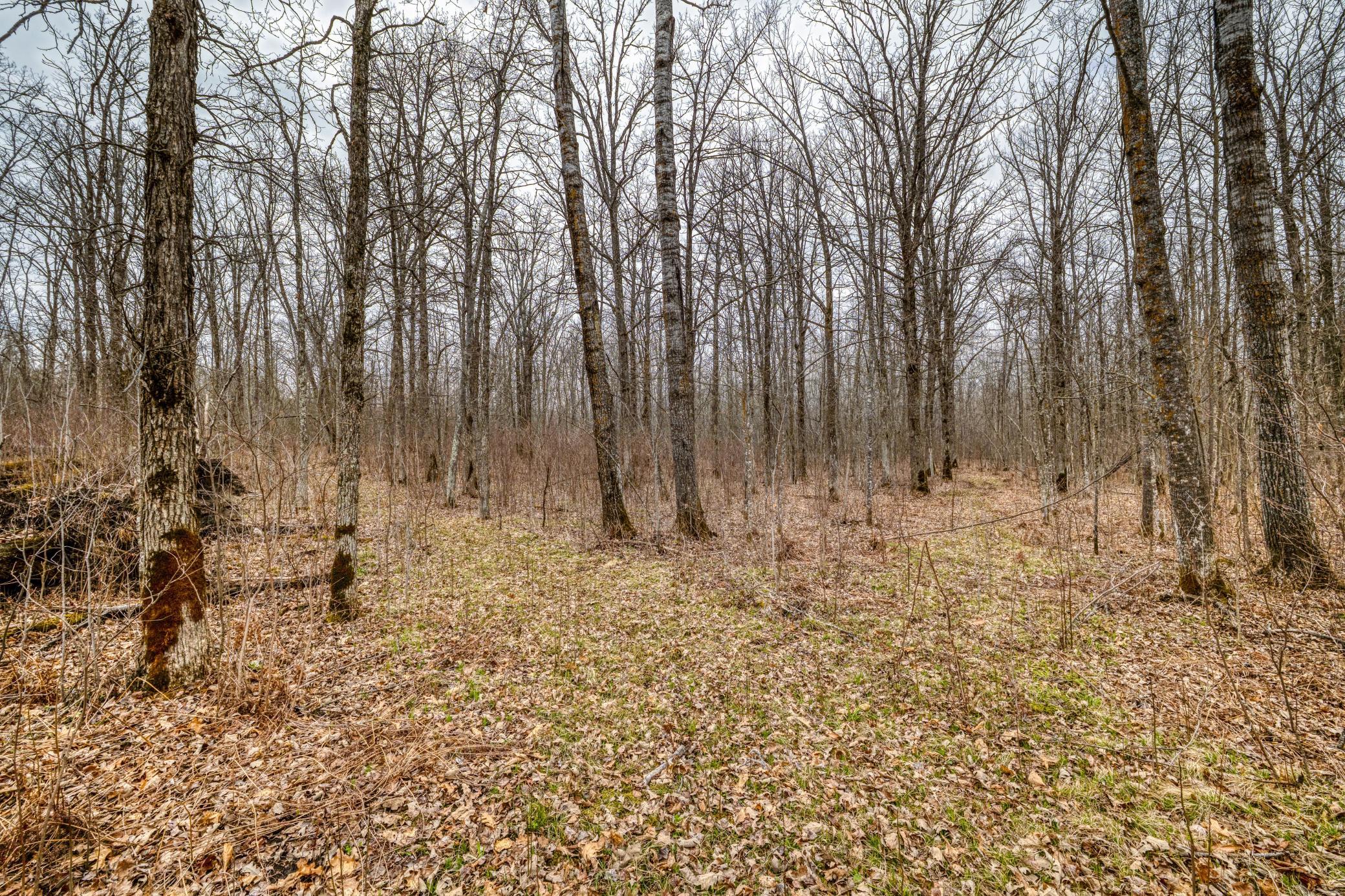 13217 Beaver Road Ne Property Photo 6