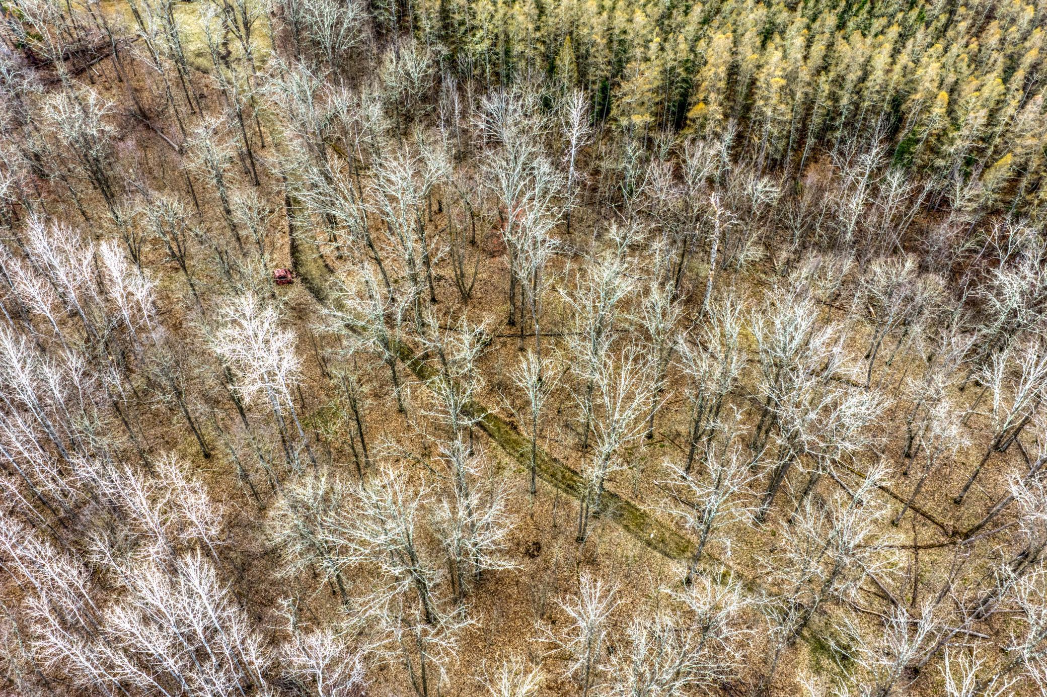 13217 Beaver Road Ne Property Photo 10