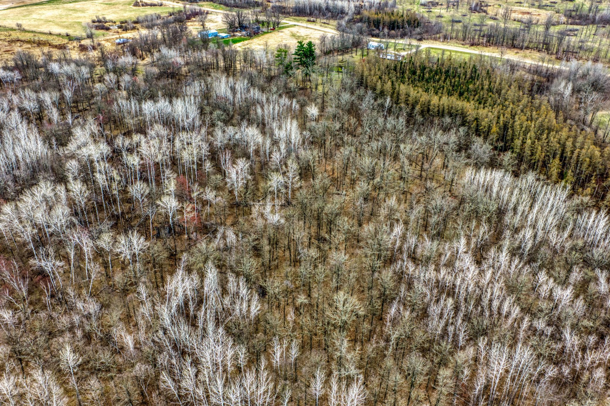13217 Beaver Road Ne Property Photo 11