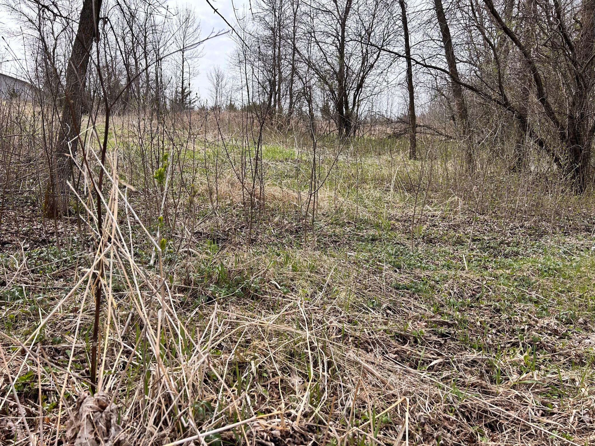 Lot 6 215th Street Property Photo 5