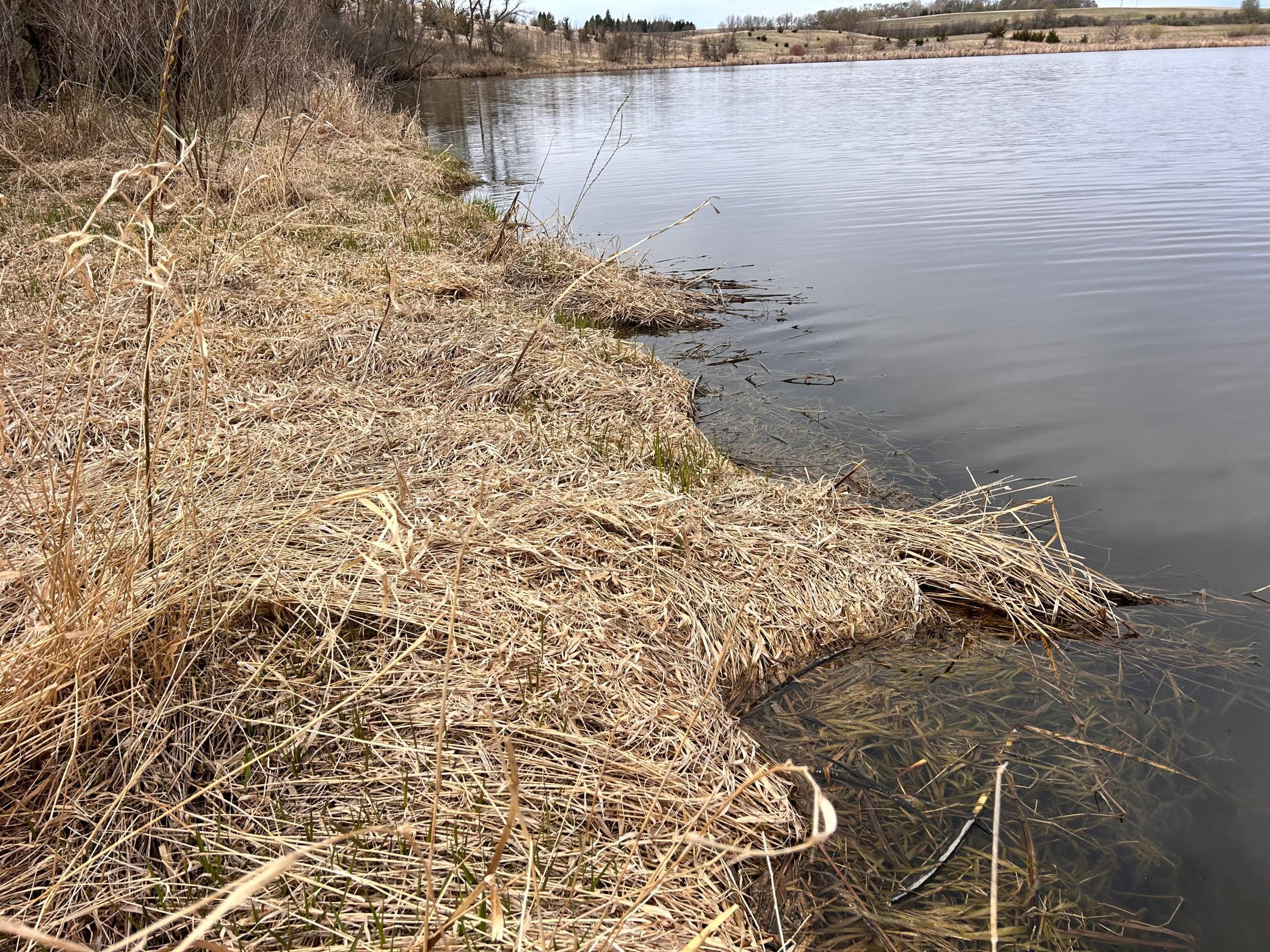 Lot 6 215th Street Property Photo 6