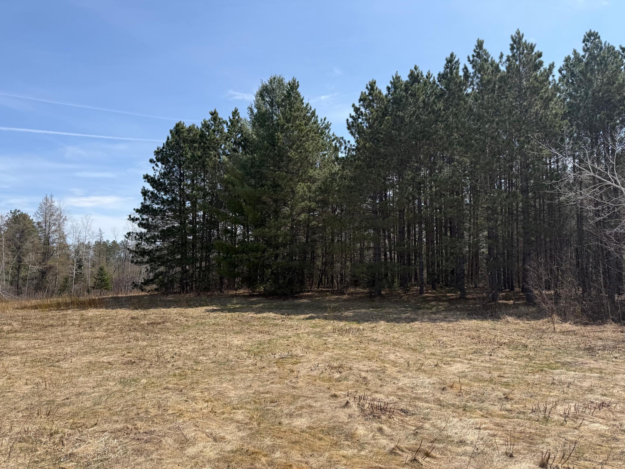 93001 Delong Road Property Photo 27