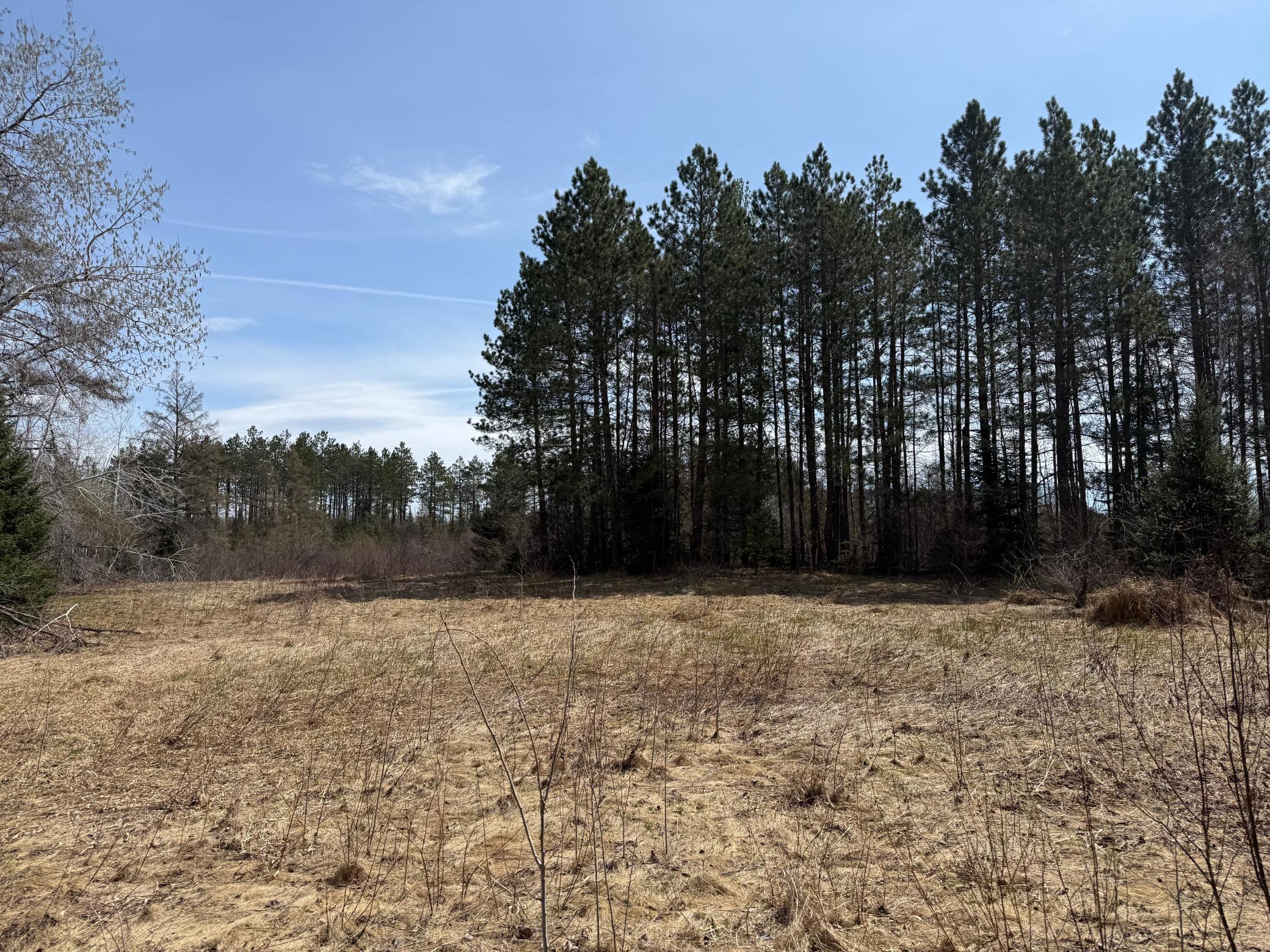 93001 Delong Road Property Photo 28