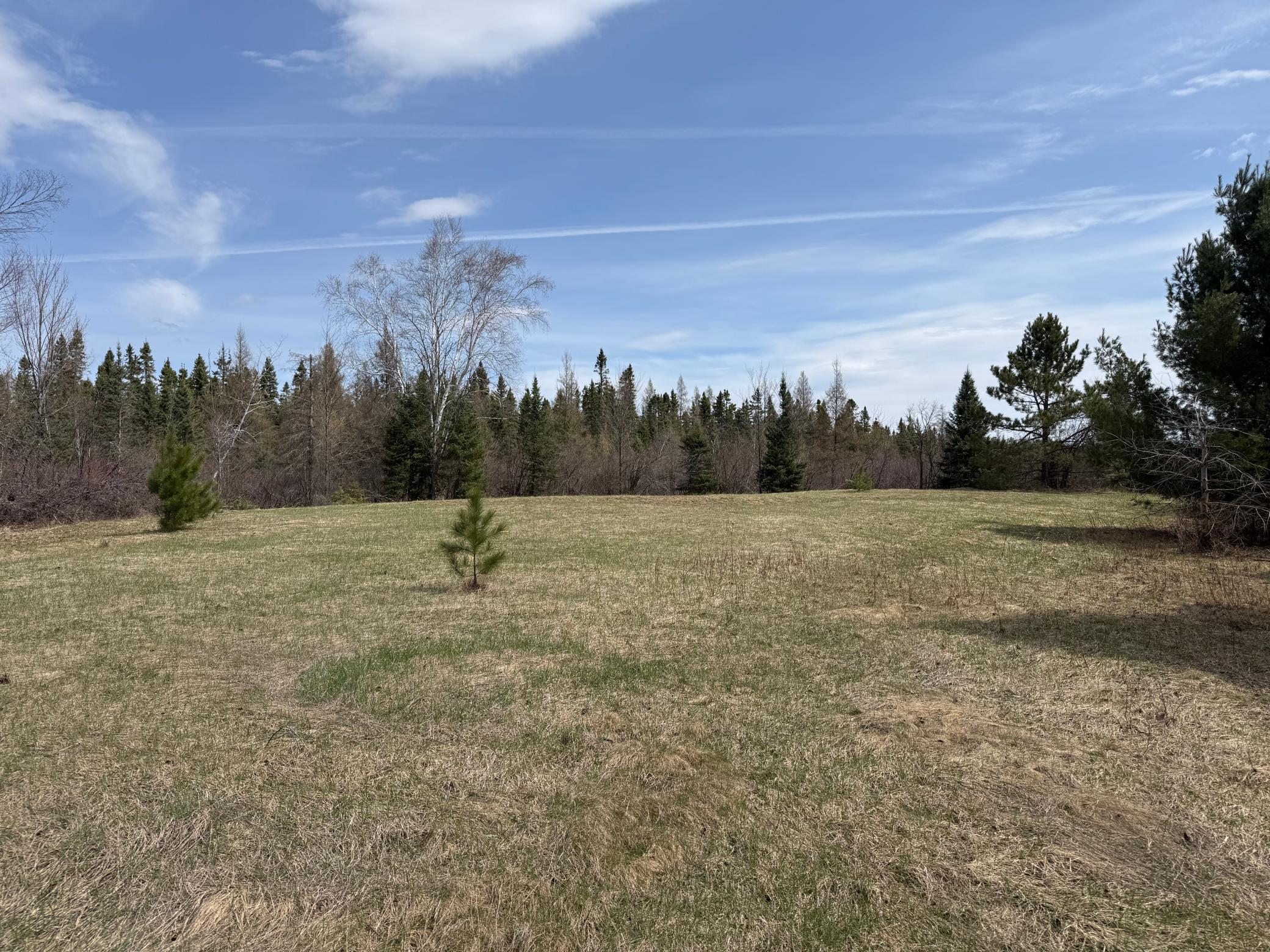 93001 Delong Road Property Photo 35