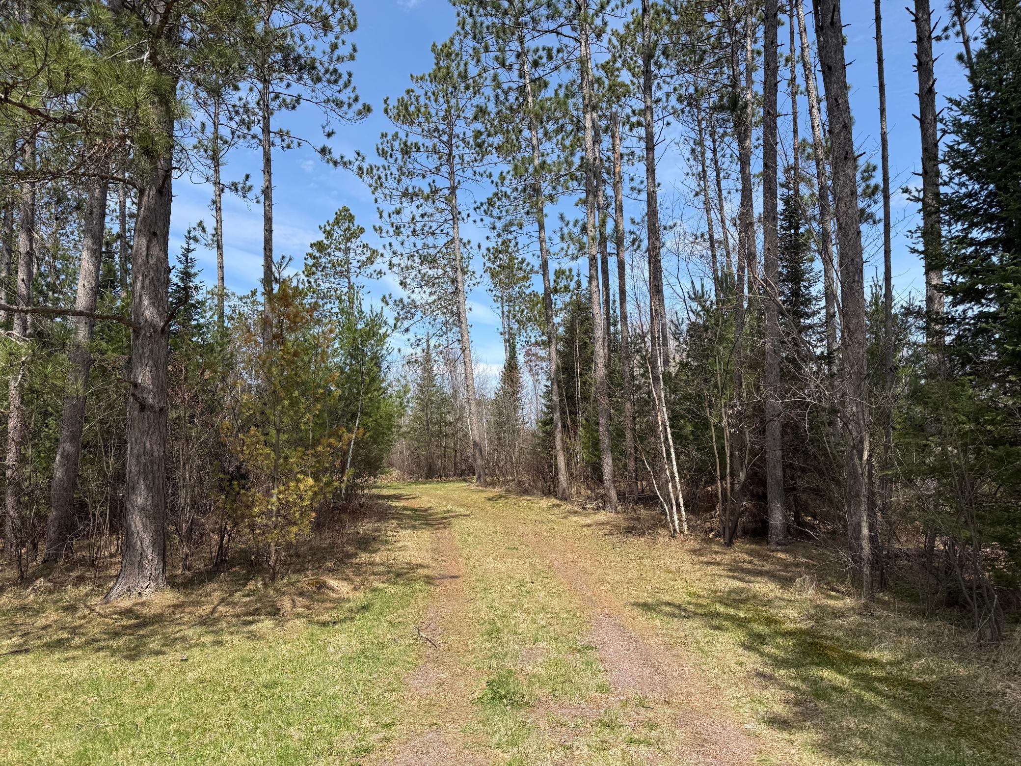 93001 Delong Road Property Photo 42