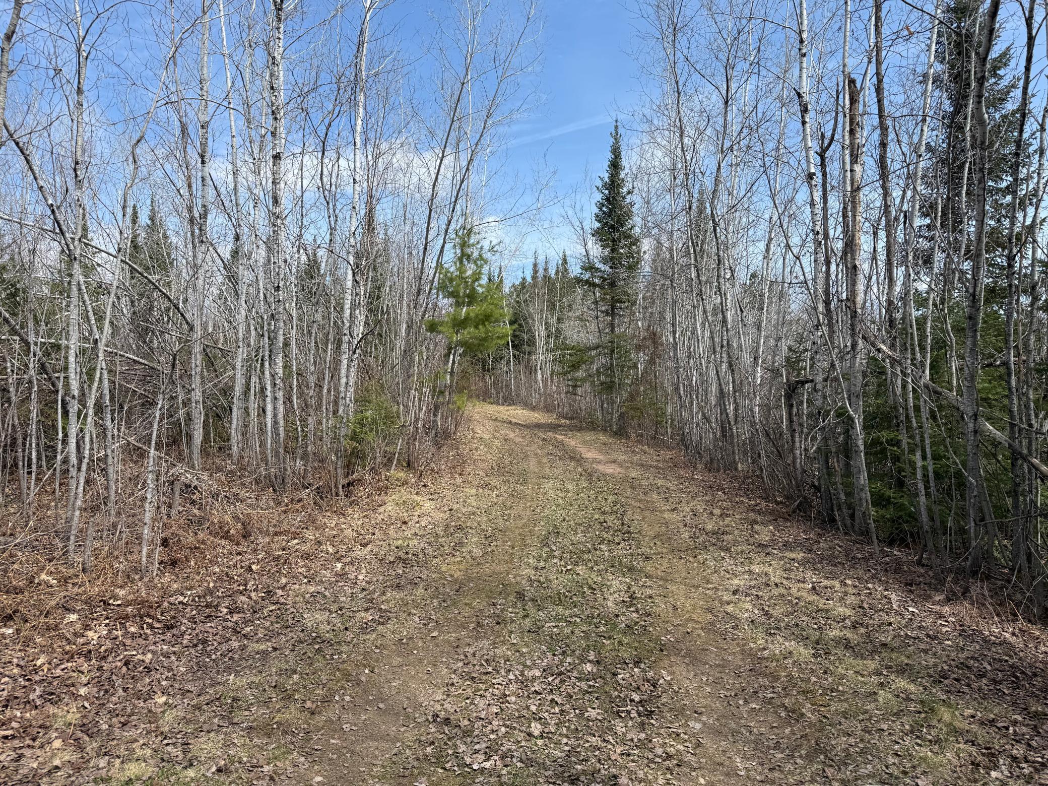 93001 Delong Road Property Photo 45