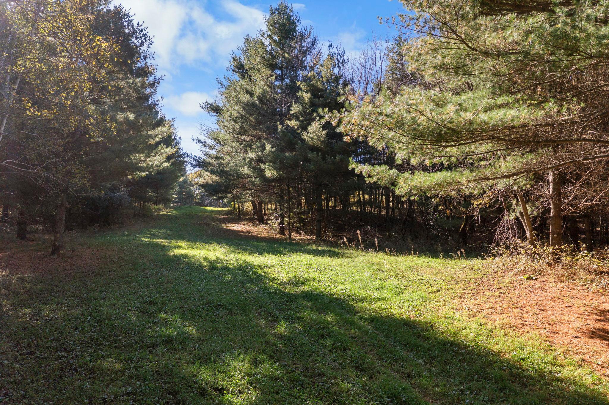 1434 105th Avenue Property Photo 32