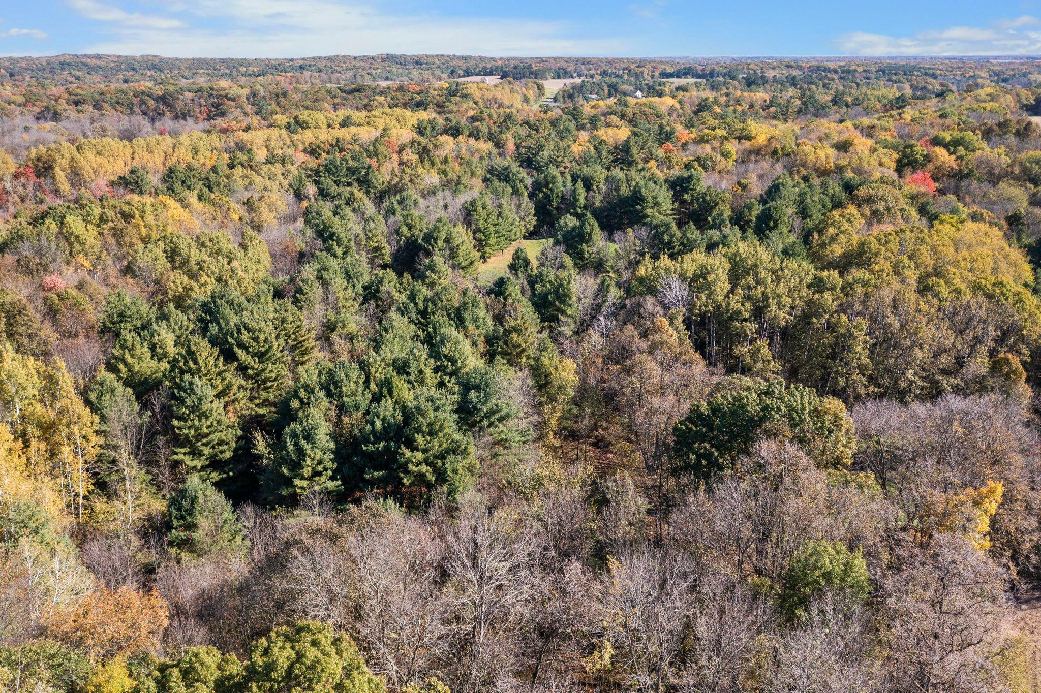 1434 105th Avenue Property Photo 37