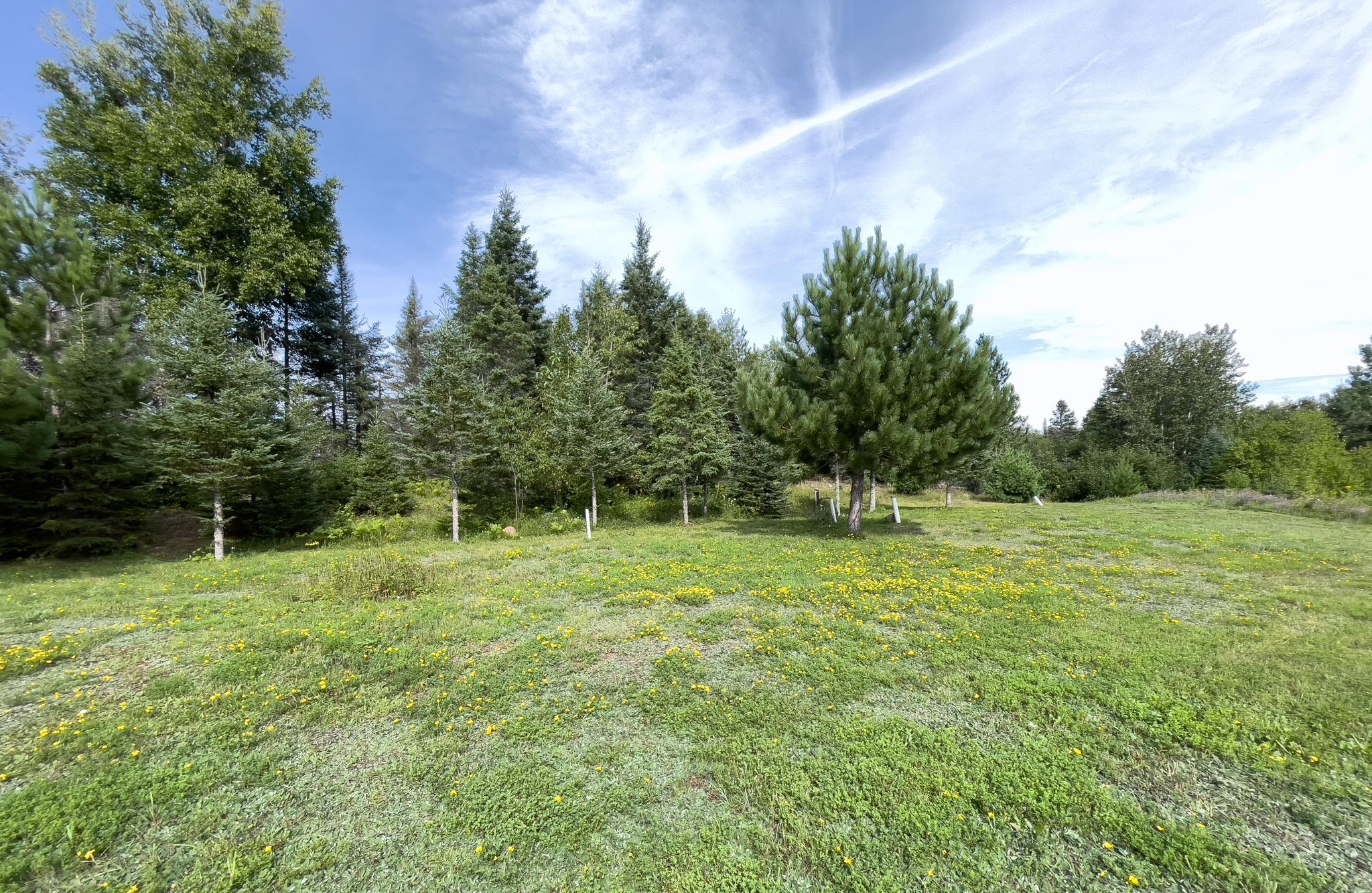7143 Highway 1 Property Photo 37