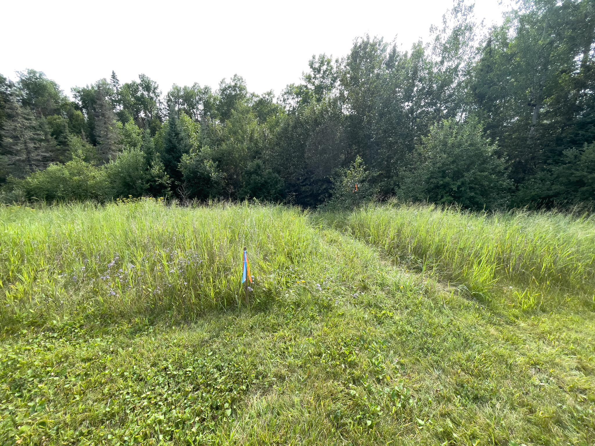 7143 Highway 1 Property Photo 40