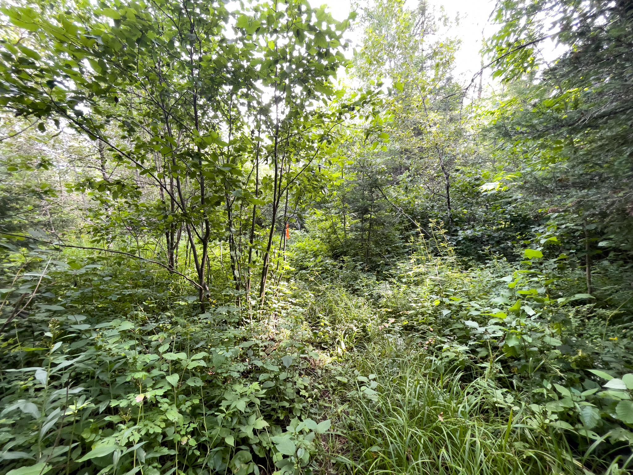 7143 Highway 1 Property Photo 41
