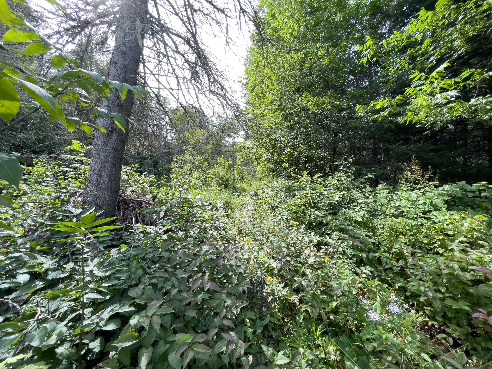 7143 Highway 1 Property Photo 48