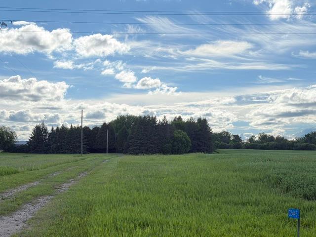 Tbd County 63 Property Photo 3
