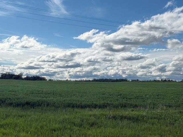 Tbd County 63 Property Photo 4