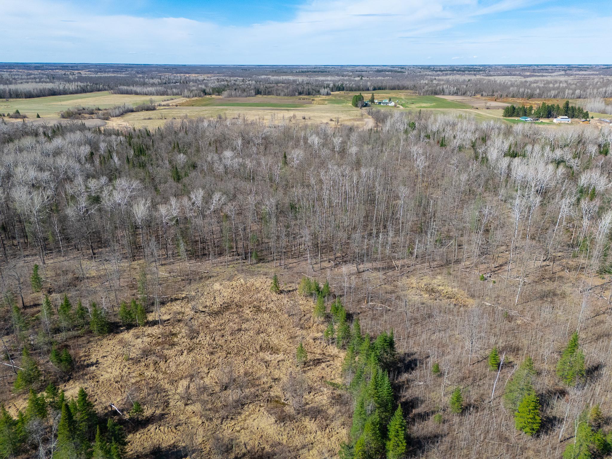 Tbd County 63 Property Photo 8