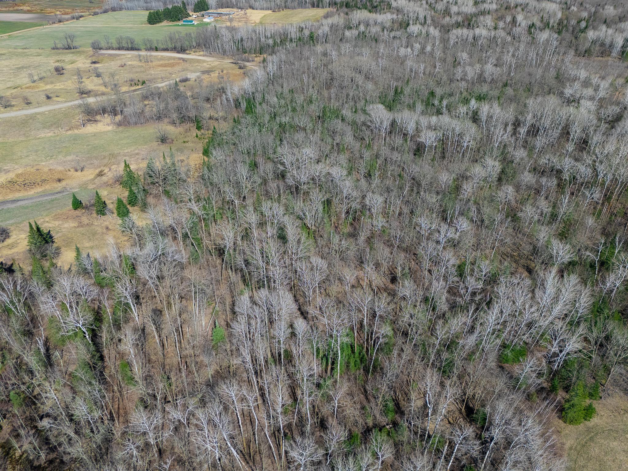 Tbd County 63 Property Photo 14