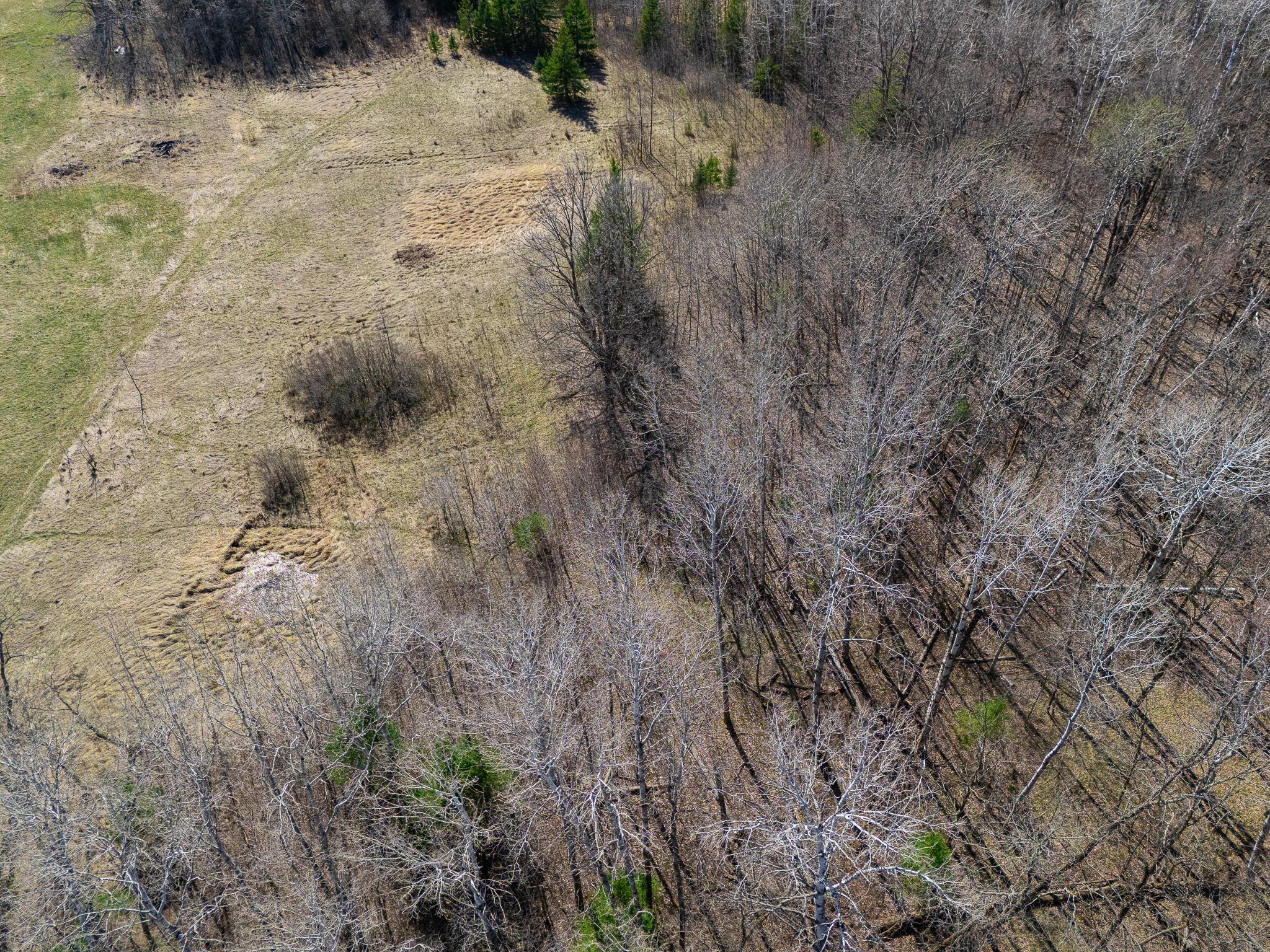 Tbd County 63 Property Photo 21