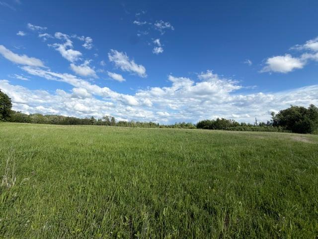 Tbd County 63 Property Photo 23