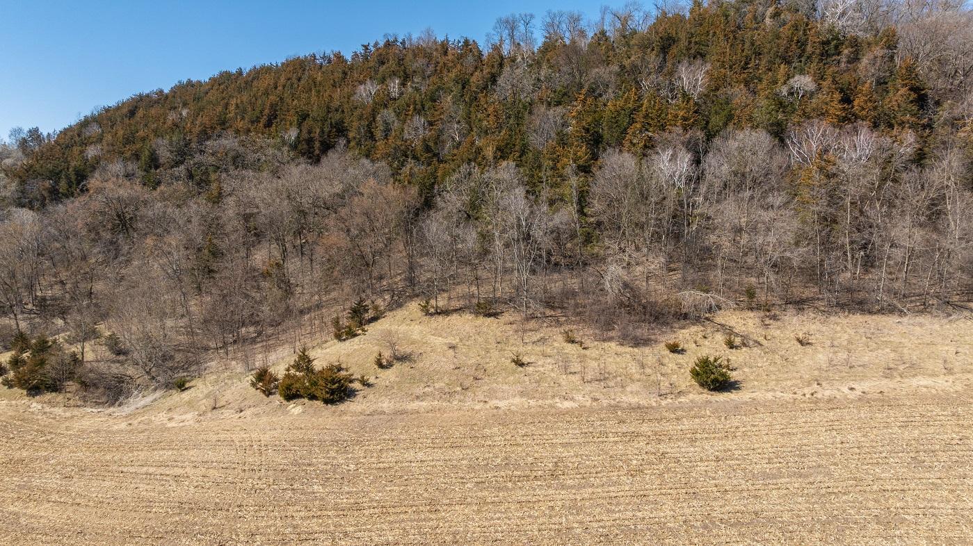 Tbd Semling Lane Property Photo 2