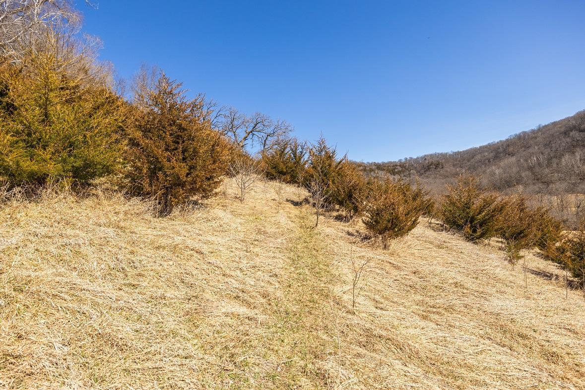 Tbd Semling Lane Property Photo 19