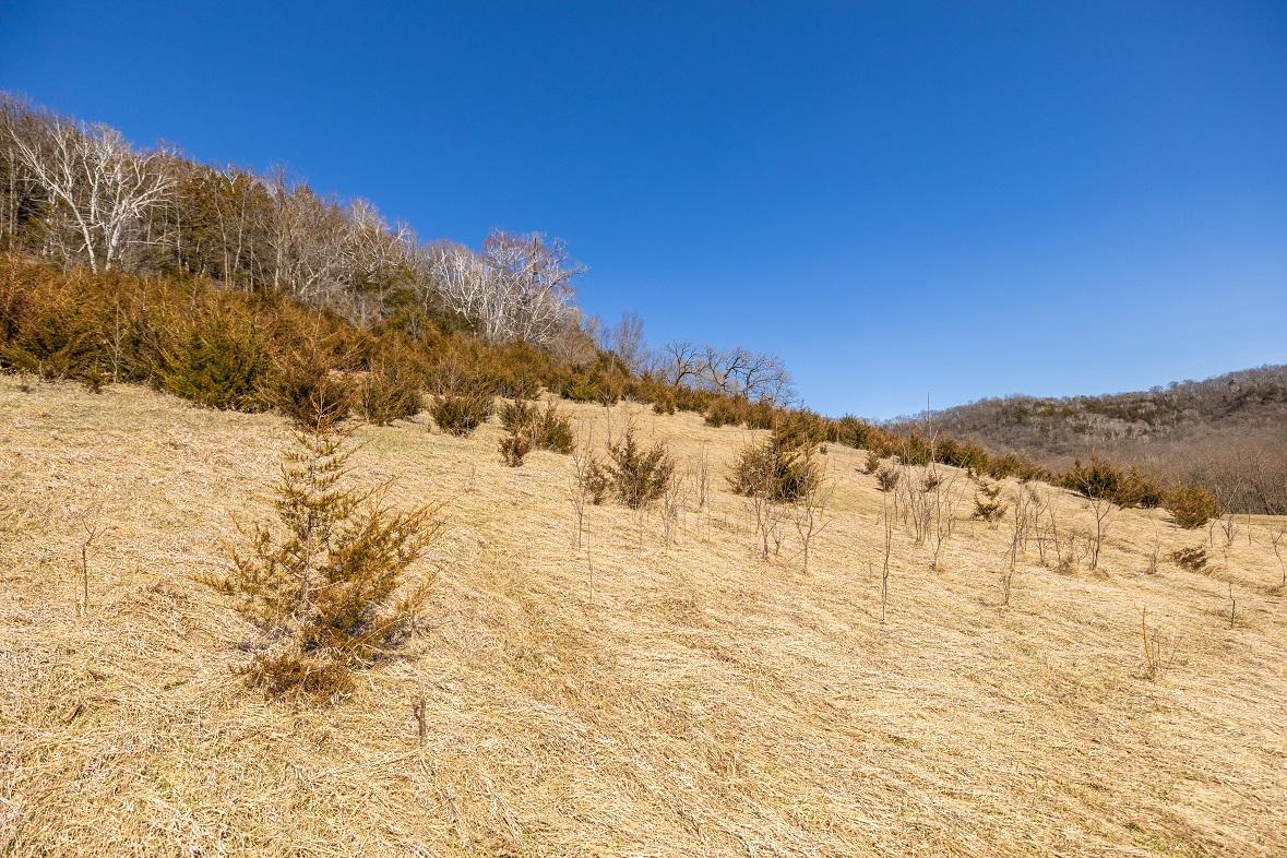 Tbd Semling Lane Property Photo 24