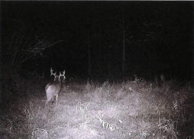 Tbd Semling Lane Property Photo 30