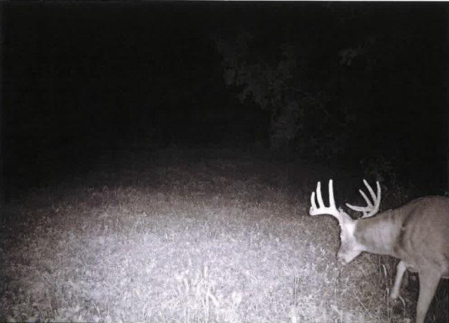 Tbd Semling Lane Property Photo 36