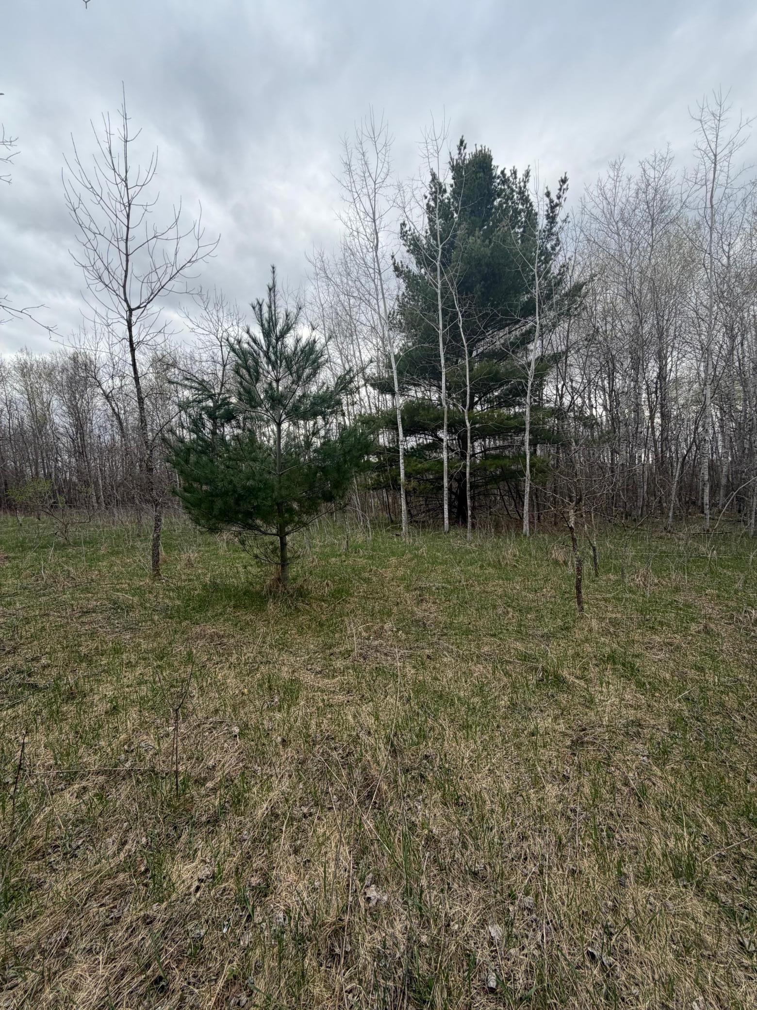 Tbd Ottawa Property Photo 1