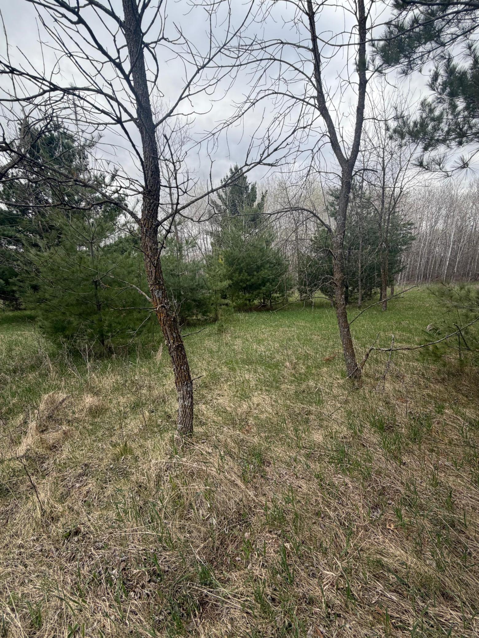 Tbd Ottawa Property Photo 2