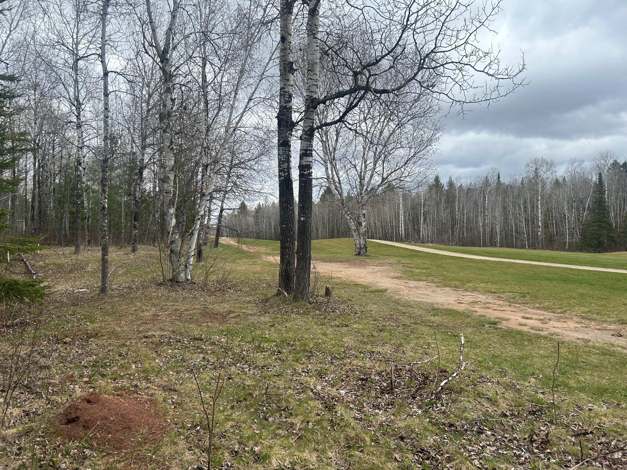 Tbd N Birch Drive Property Photo 2
