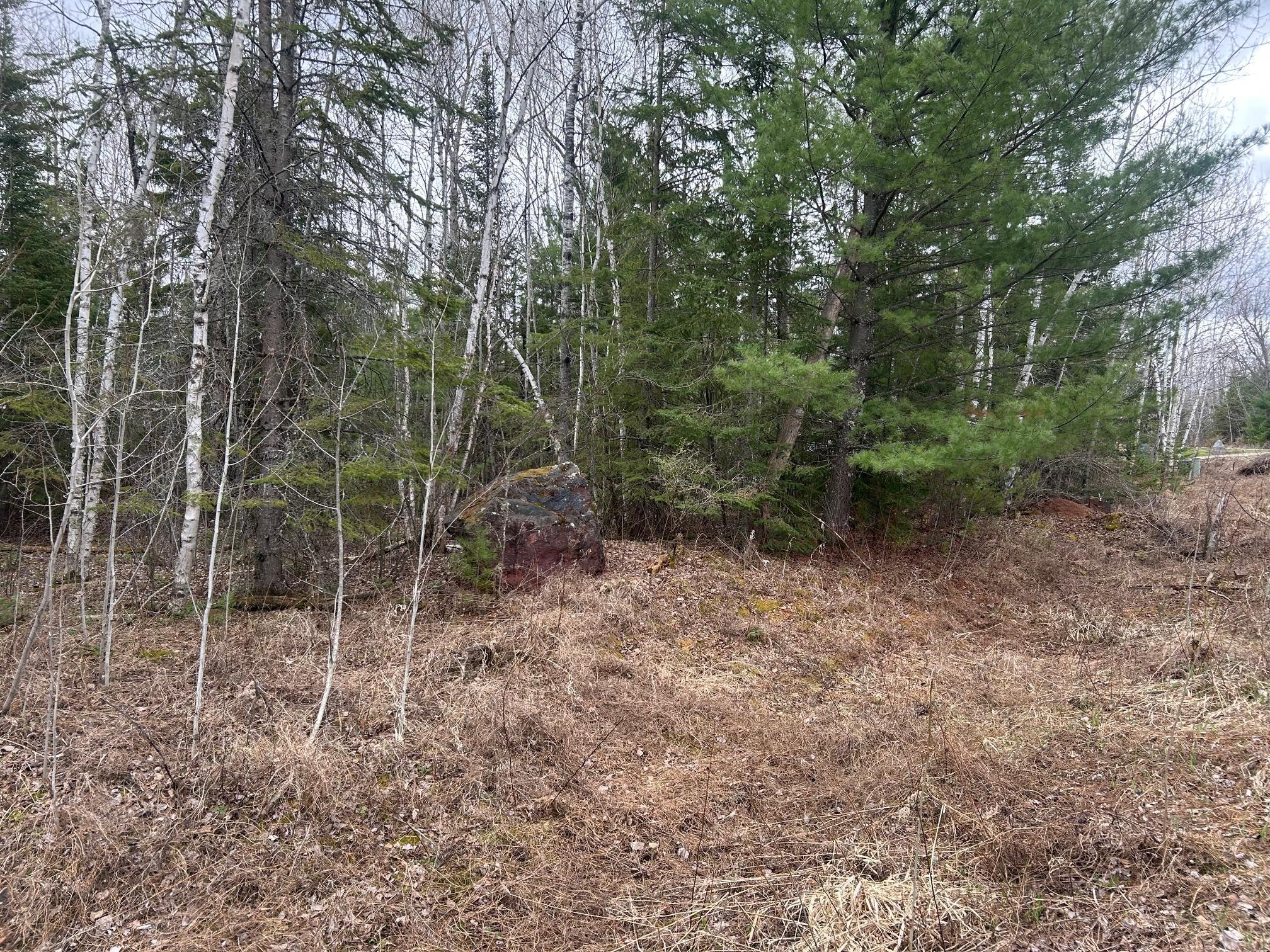 Tbd N Birch Drive Property Photo 4