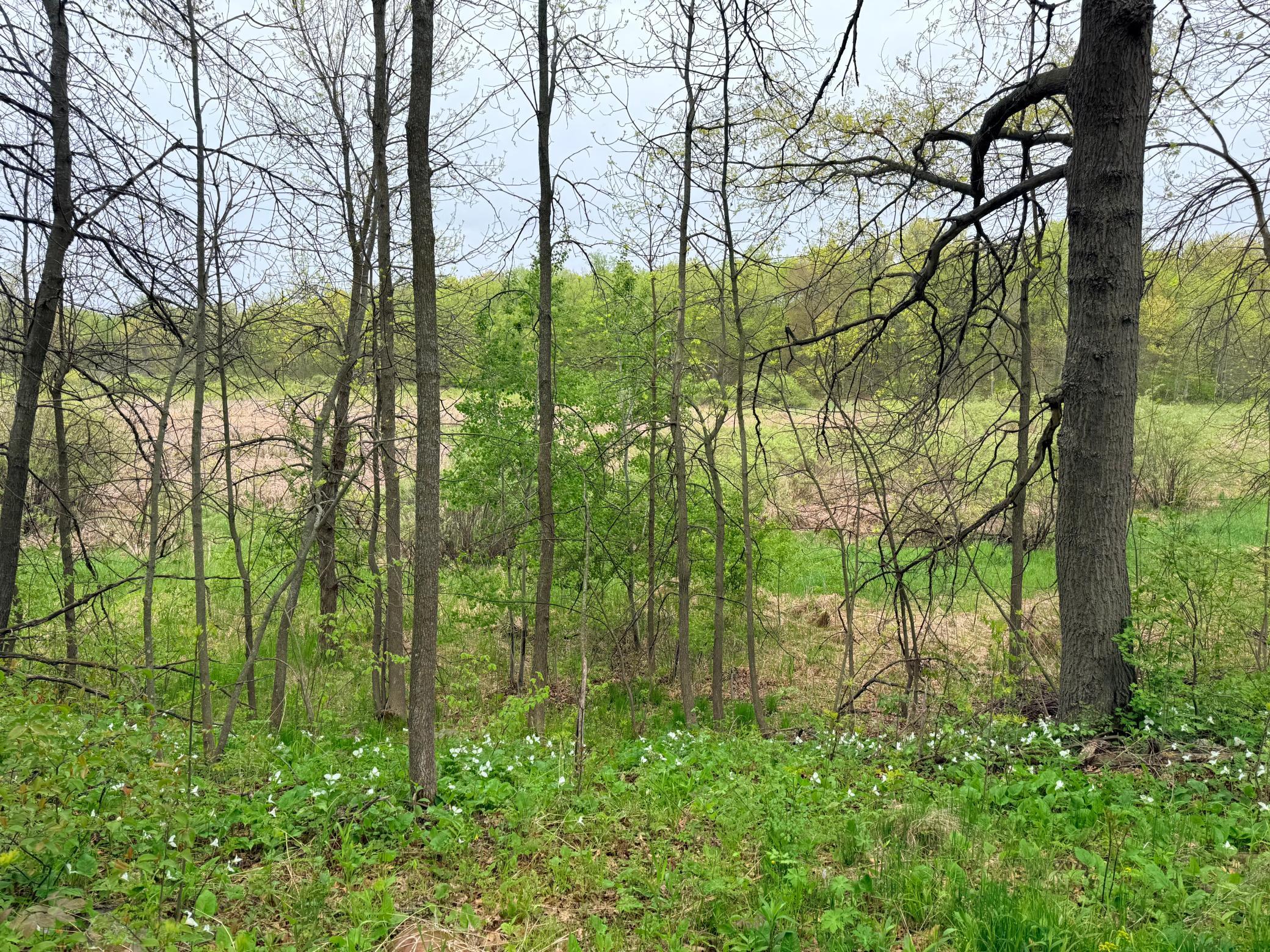 47292 Baffie Bend Property Photo 26
