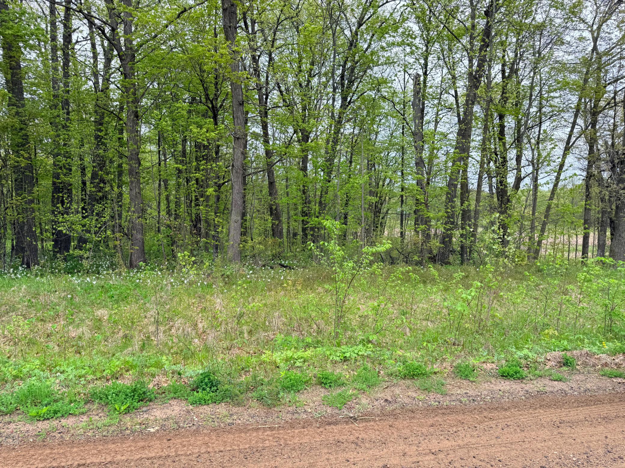 47292 Baffie Bend Property Photo 28