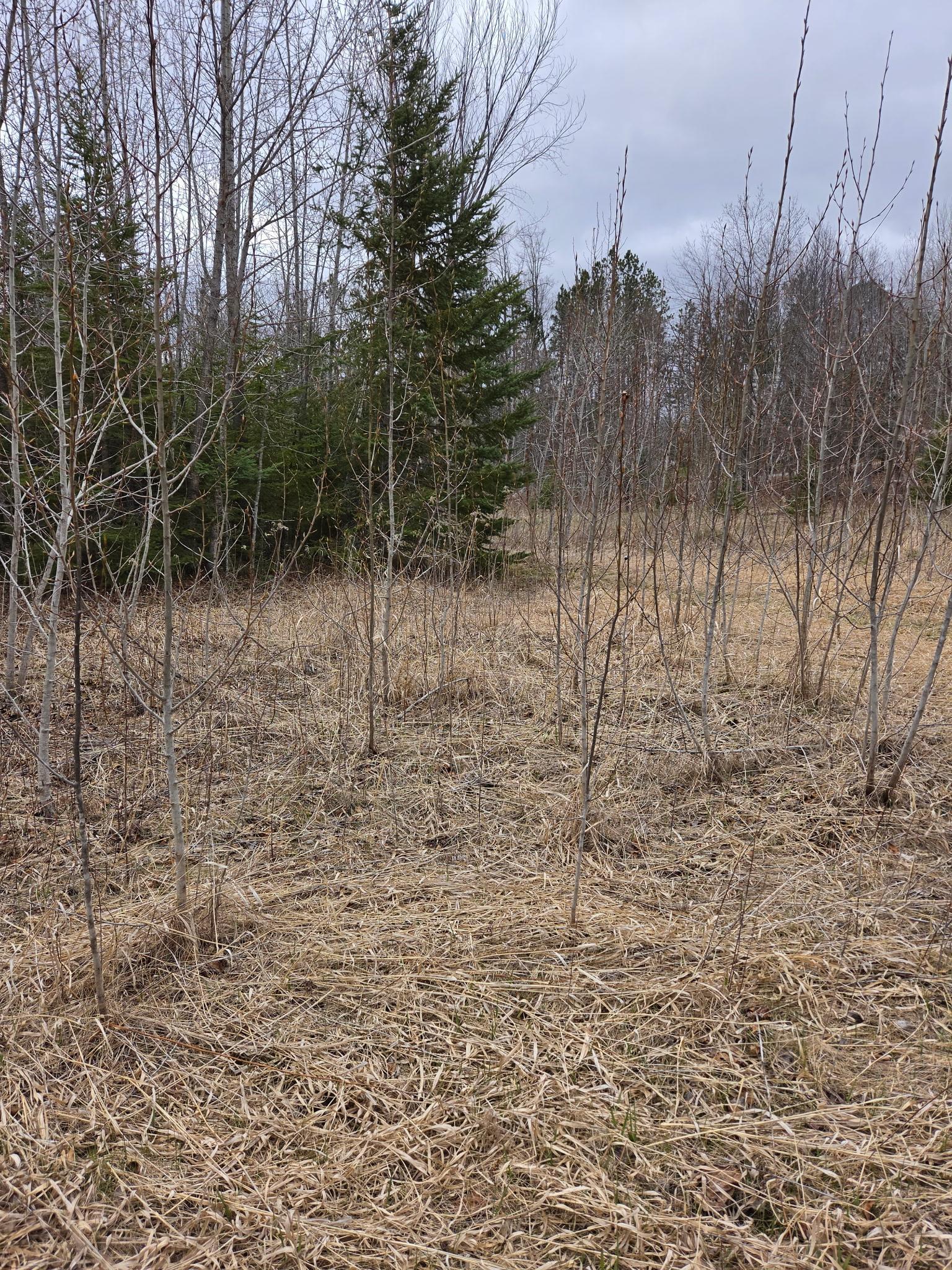 Tbd Lampi Road Property Photo 3