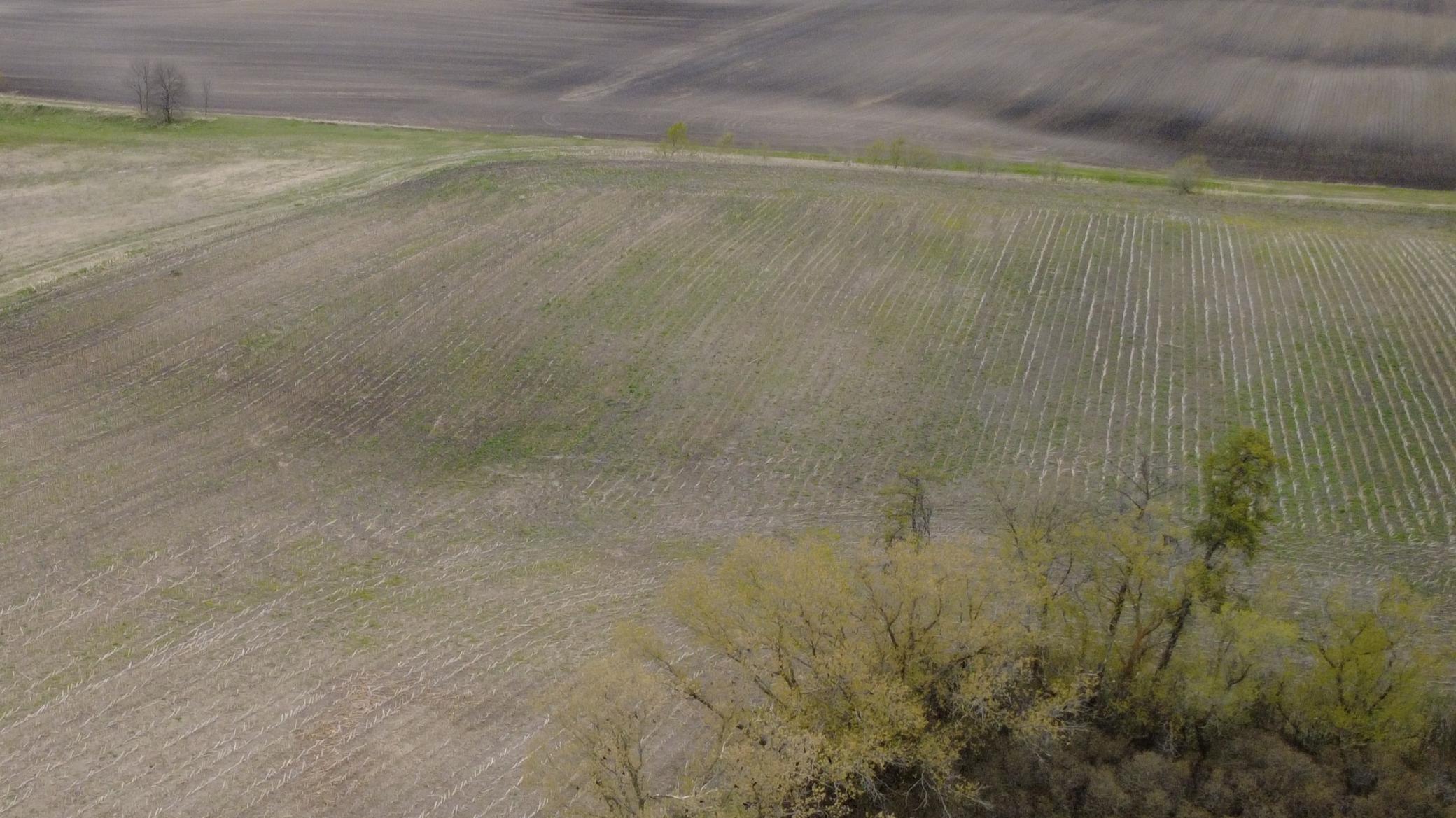 23889 Co Hwy 1 Property Photo 19
