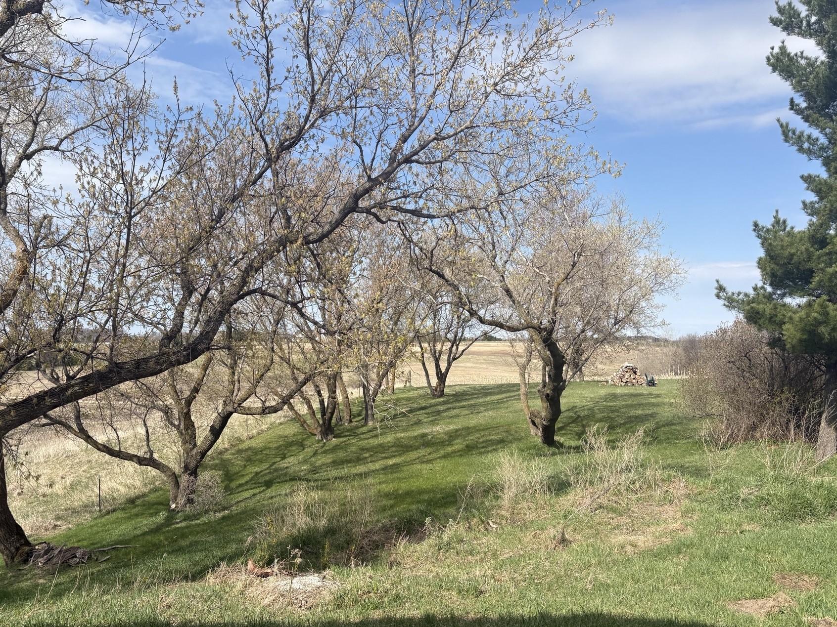 23889 Co Hwy 1 Property Photo 29