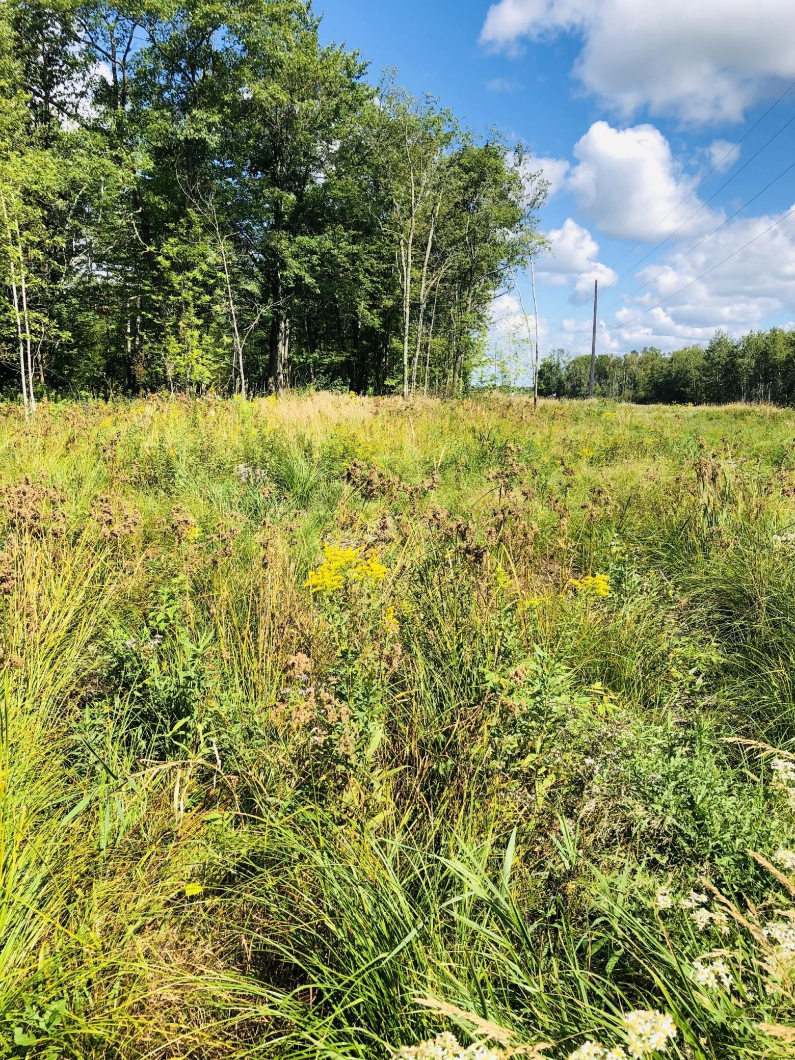 44131 Nature Avenue Property Photo 13
