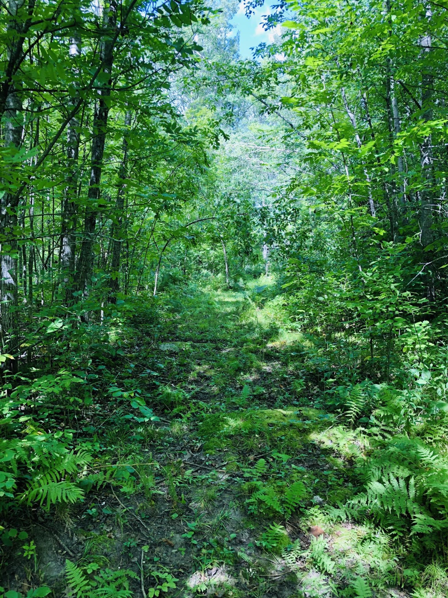 44131 Nature Avenue Property Photo 16