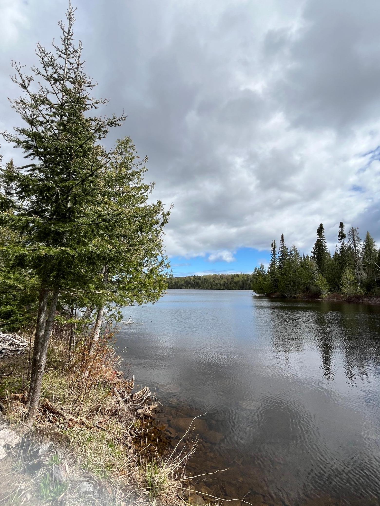 100 Wilderness Trail Property Photo 1