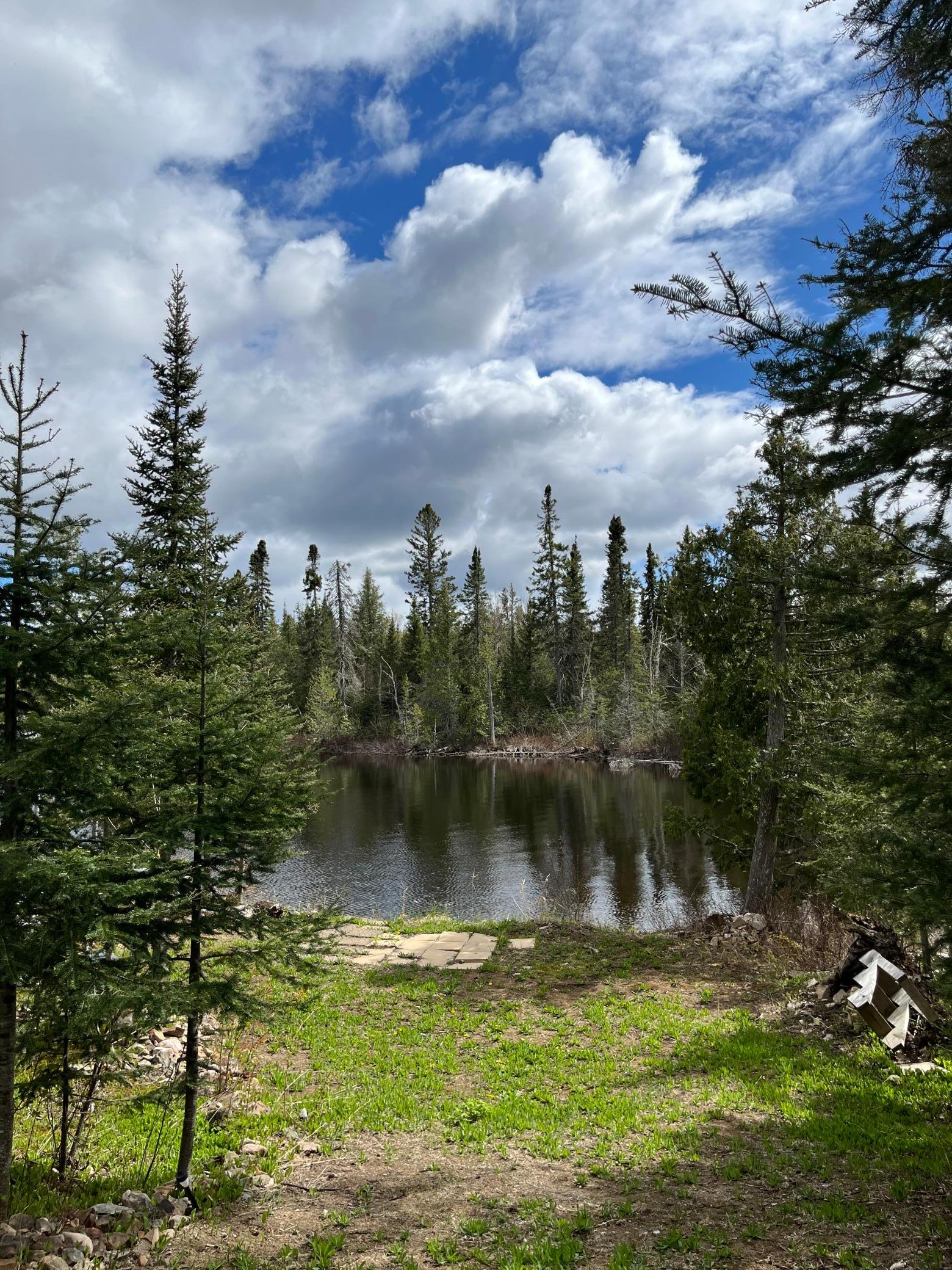 100 Wilderness Trail Property Photo 2