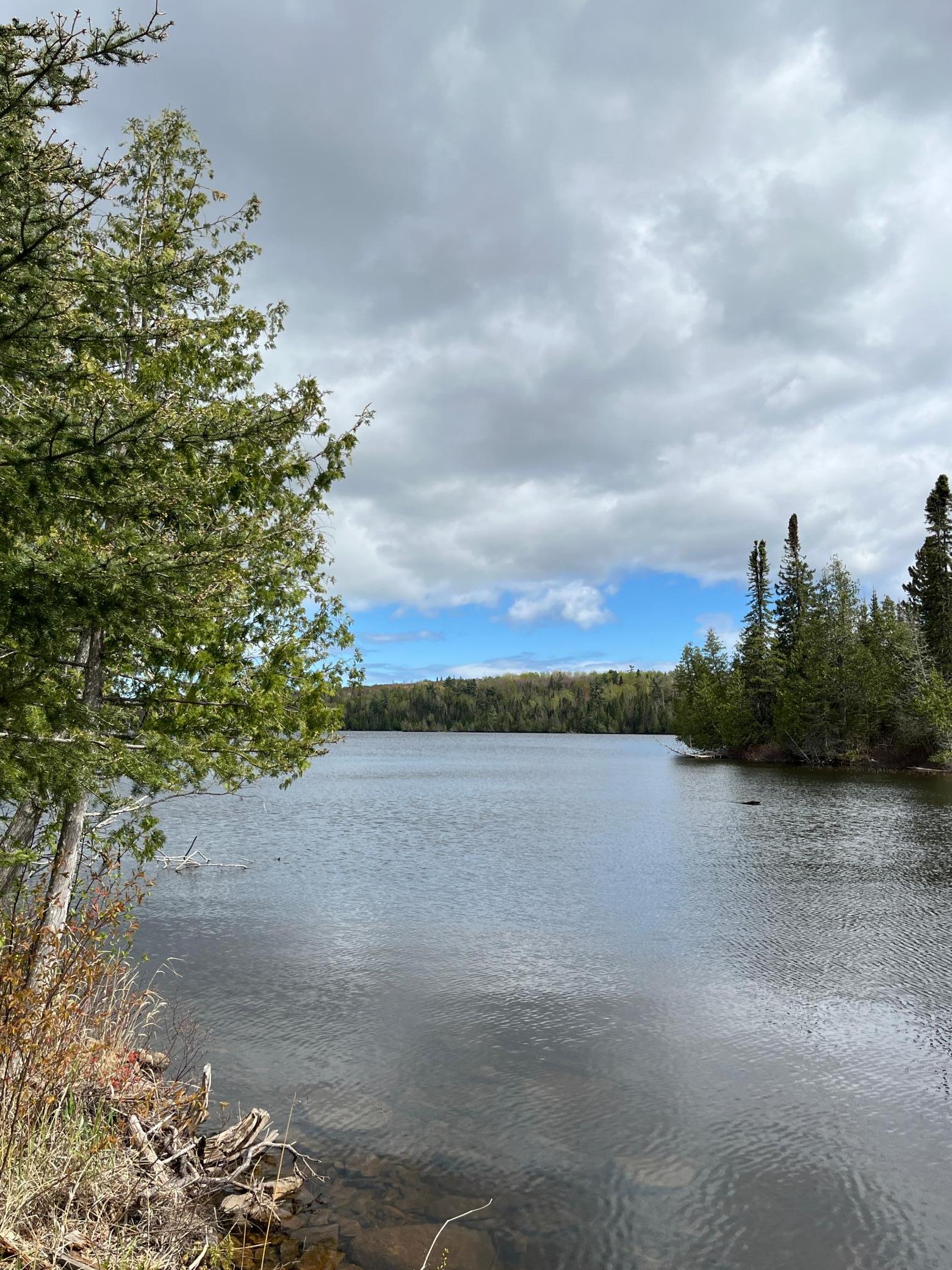 100 Wilderness Trail Property Photo 3