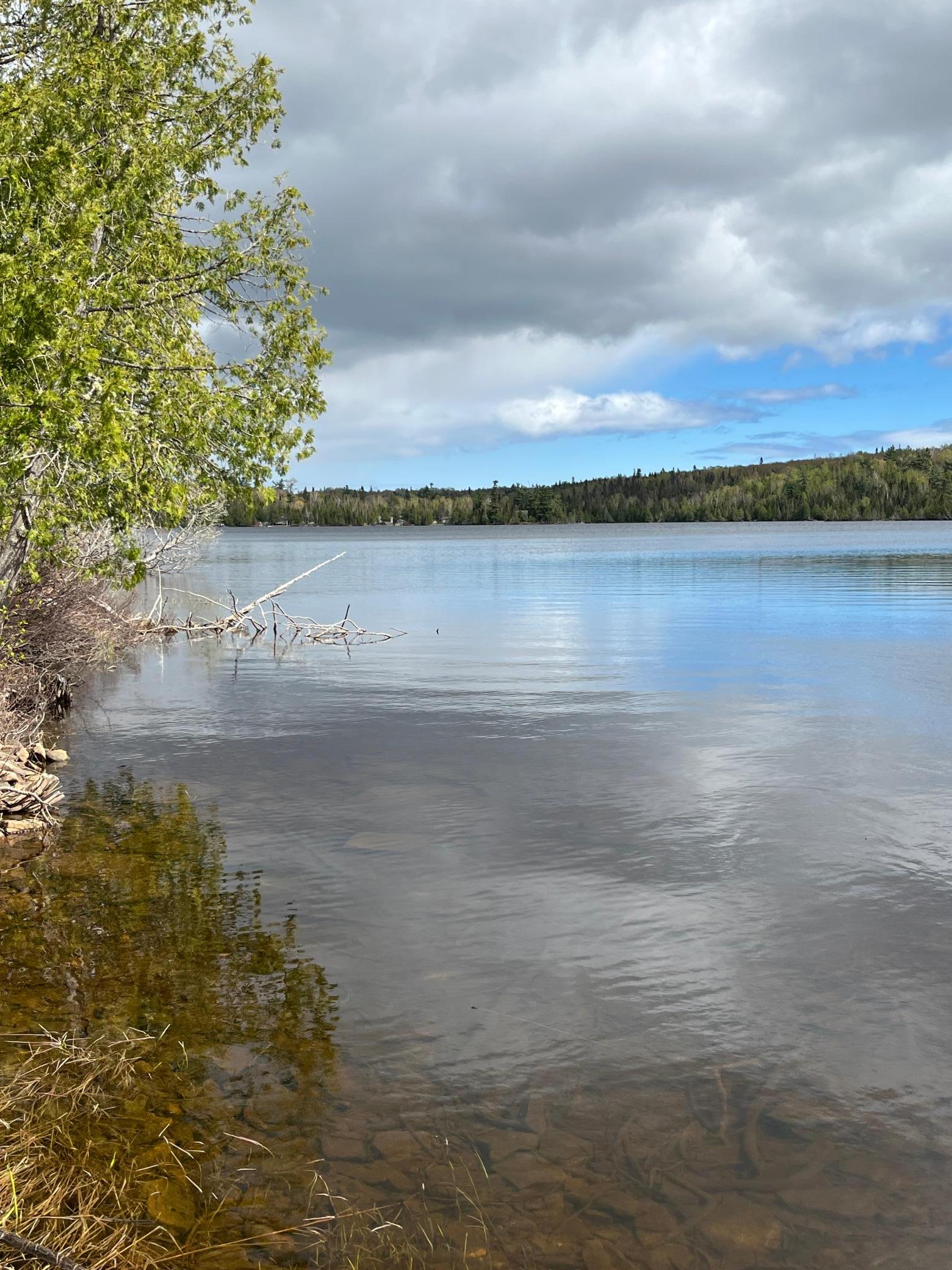 100 Wilderness Trail Property Photo 5