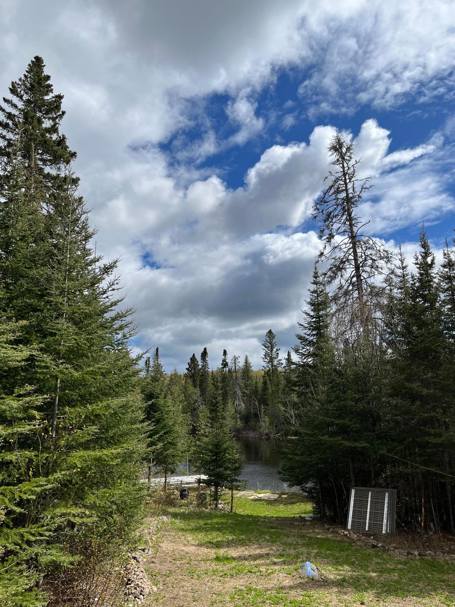 100 Wilderness Trail Property Photo 6