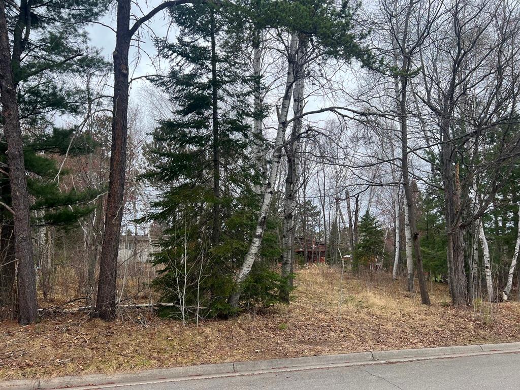 Tbd 3rd Avenue Sw Property Photo 2