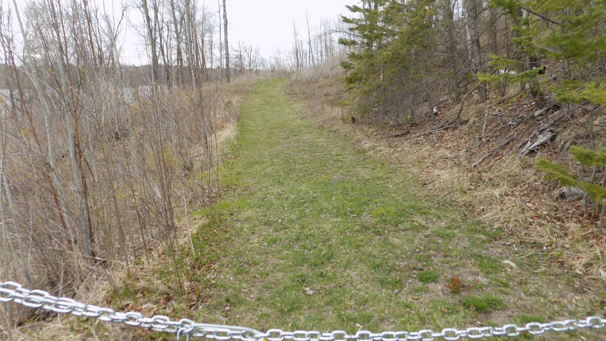 Tbd Bluebill Bay Road Property Photo 2