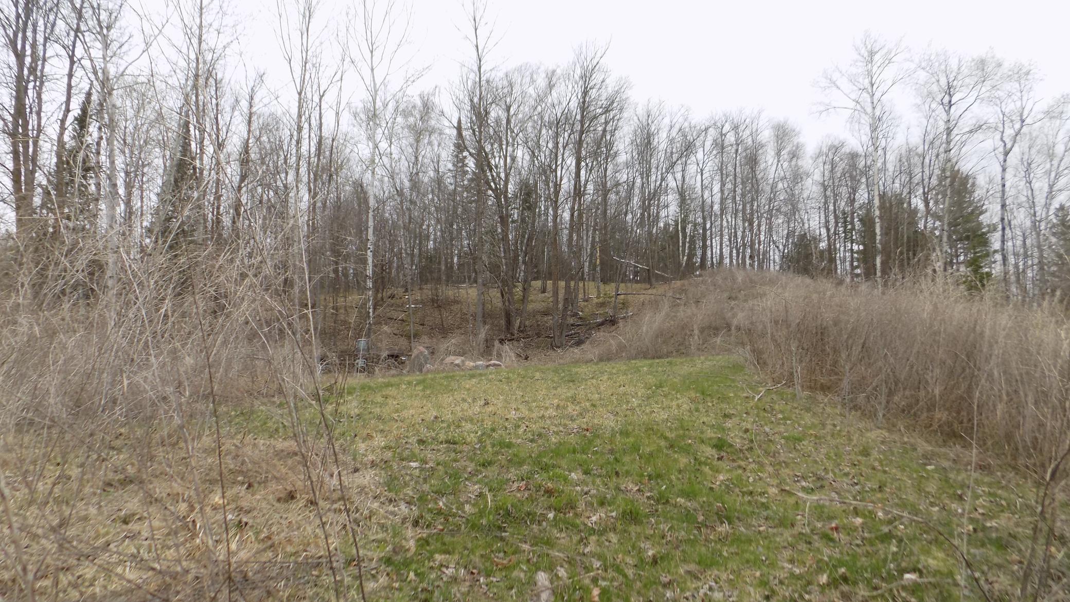 Tbd Bluebill Bay Road Property Photo 4